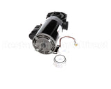 116819 Duke Asy,Right Pump