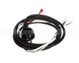 11682 Server Cord Assembly (Cont Euro)