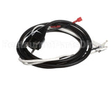 11682 Server Cord Assembly (Cont Euro)