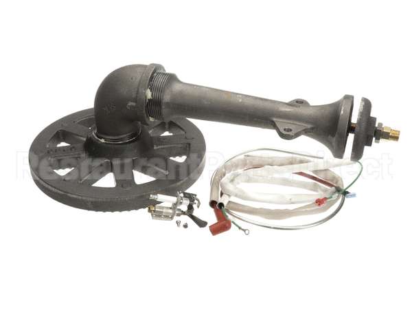 117090 Groen Asm Burner Sensor Ah/1E-40