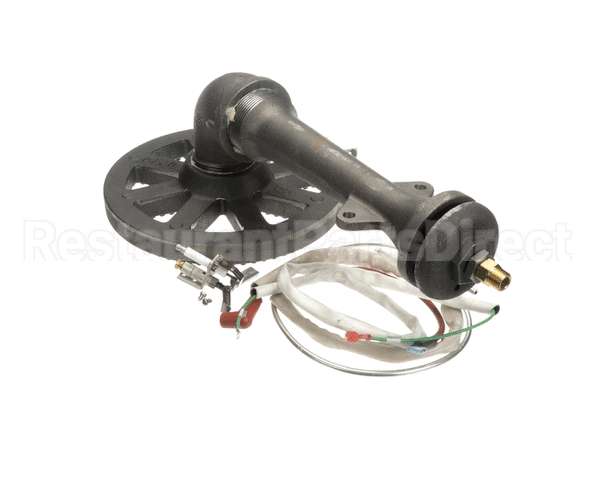 117090 Groen Asm Burner Sensor Ah/1E-40