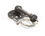 117090 Groen Asm Burner Sensor Ah/1E-40