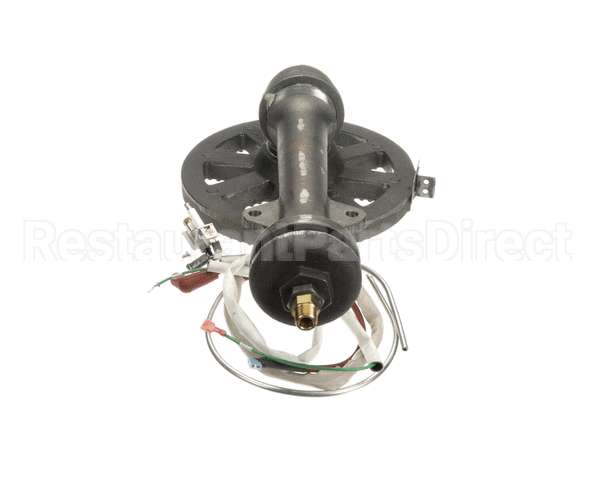 117090 Groen Asm Burner Sensor Ah/1E-40