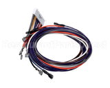 1171523 International Comfort Pro Wiring Assembly. Plug