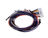 1171523 International Comfort Pro Wiring Assembly. Plug
