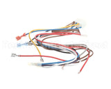 1171698 International Comfort Pro Wire Harness