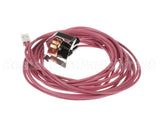 1173821 International Comfort Pro Switch Dft