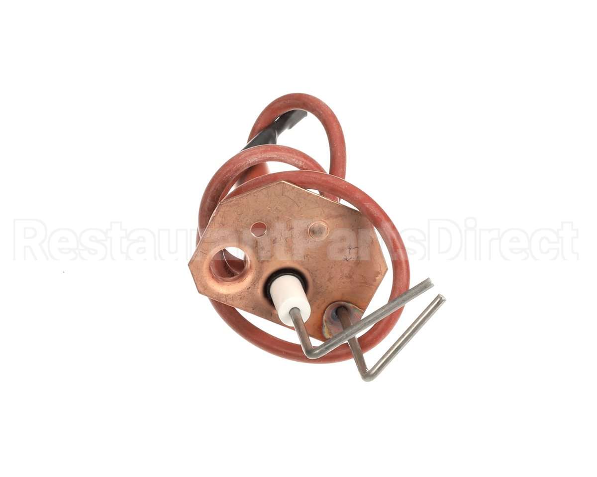 1173828 International Comfort Pro Ignitor Assembly