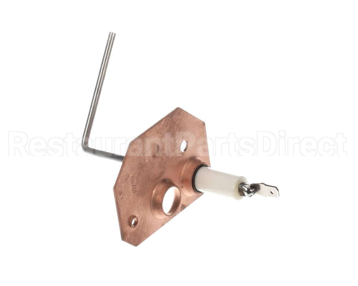 1173830 International Comfort Pro Sensor Flame