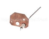 1173830 International Comfort Pro Sensor Flame