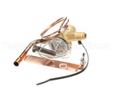 1175516 International Comfort Pro Kit Txv (Valve)