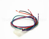 1175724 Southbend Range Wire Harness