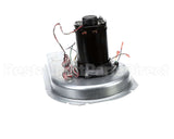 1175978 International Comfort Pro Blw Asy (Idf) 230V 1