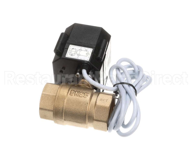 117659 Champion - Moyer Diebel Valve Ball, 1"Npt Brass, 110-230V Elec,