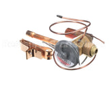 1176876 International Comfort Pro Txv Valve 3.0 T