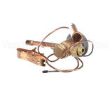 1176878 International Comfort Pro Txv Valve