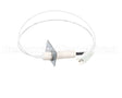 1176919 International Comfort Pro Igniter