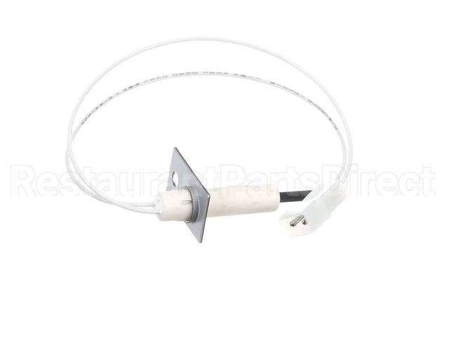 1176919 International Comfort Pro Igniter
