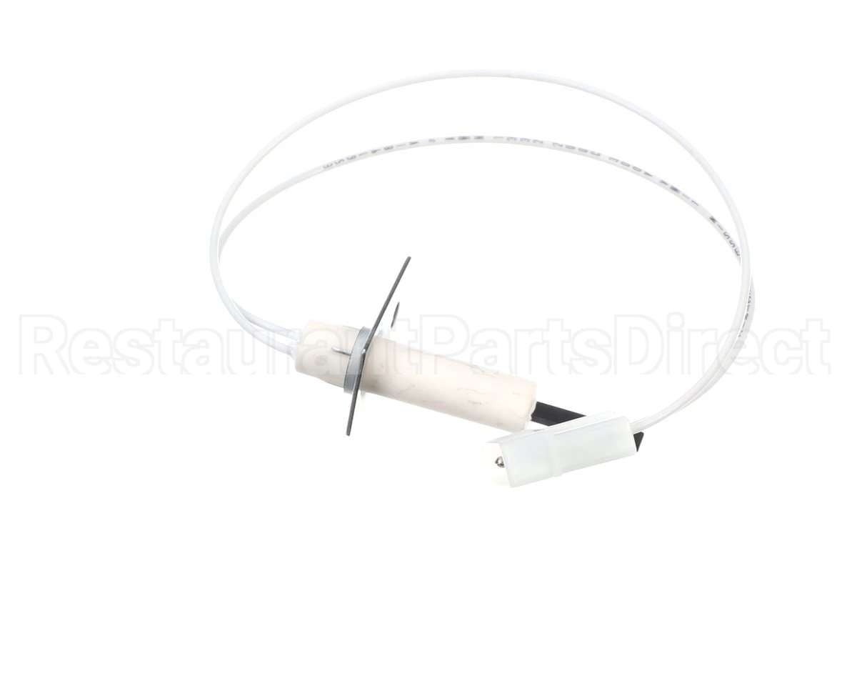 1176919 International Comfort Pro Igniter
