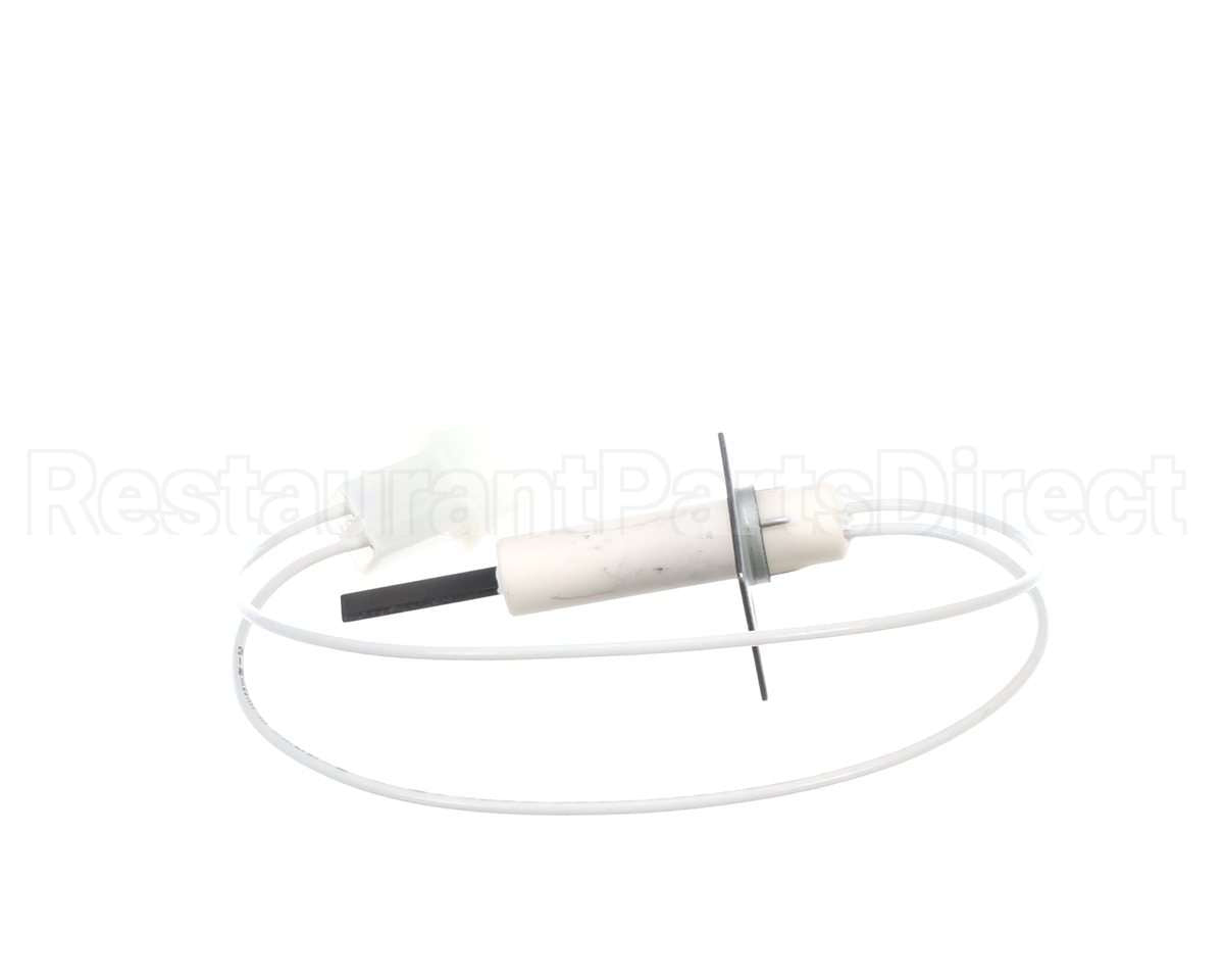 1176919 International Comfort Pro Igniter