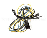 1177140 International Comfort Pro Plug Compressor