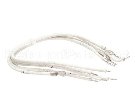 1177878 Southbend Range Element Leads, R2