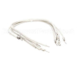 1177878 Southbend Range Element Leads, R2