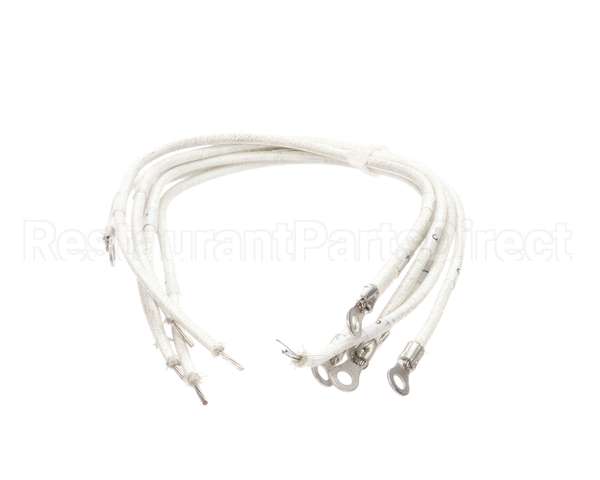 1177878 Southbend Range Element Leads, R2