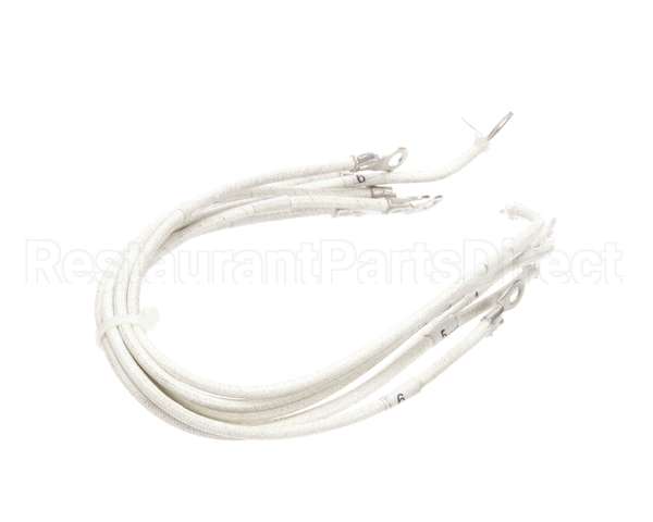 1177878 Southbend Range Element Leads, R2