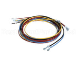 1178229 International Comfort Pro Harness Assembly Ifm