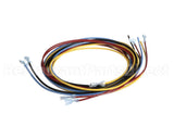 1178229 International Comfort Pro Harness Assembly Ifm