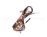 1178944 International Comfort Pro Harness Assembly Clo1/Comp2