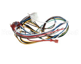 1178976 International Comfort Pro Harness Assembly Ecmx