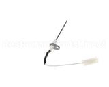 1179160 International Comfort Pro Sensor Flame