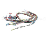 1180484 Southbend Range Harness,Cch,220-240V,Electric