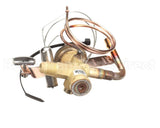 1183516 International Comfort Pro Kit Txv (Valve)
