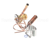 1186998 International Comfort Pro Kit Txv (Valve)