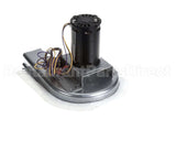 1188243 International Comfort Pro Inducer Motor Asy 230V