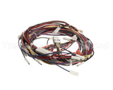 1188380 International Comfort Pro Harness Assembly (Yac Ctrl)