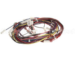 1188380 International Comfort Pro Harness Assembly (Yac Ctrl)