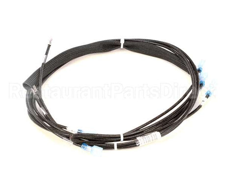 1189814 Southbend Range Wire Harness,Standing Pilot Co