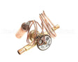 1191306 International Comfort Pro Valve, Txv