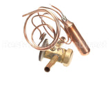 1191306 International Comfort Pro Valve, Txv