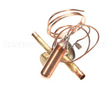 1191306 International Comfort Pro Valve, Txv