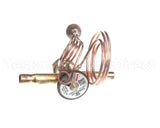 1191308 International Comfort Pro Valve, Txv