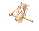 1191310 International Comfort Pro Valve, Txv