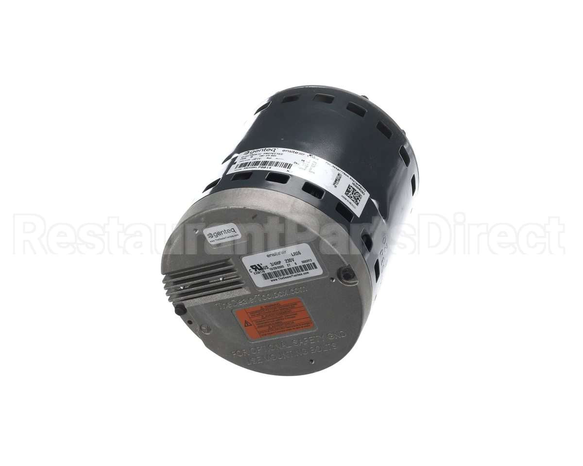 1191622 International Comfort Pro Motor, 3/4Hp, 1P, 208-230 Vac