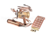 1192284 International Comfort Pro Valve Txv