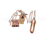 1192288 International Comfort Pro Valve Txv