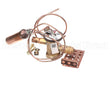 1192290 International Comfort Pro Valve Txv